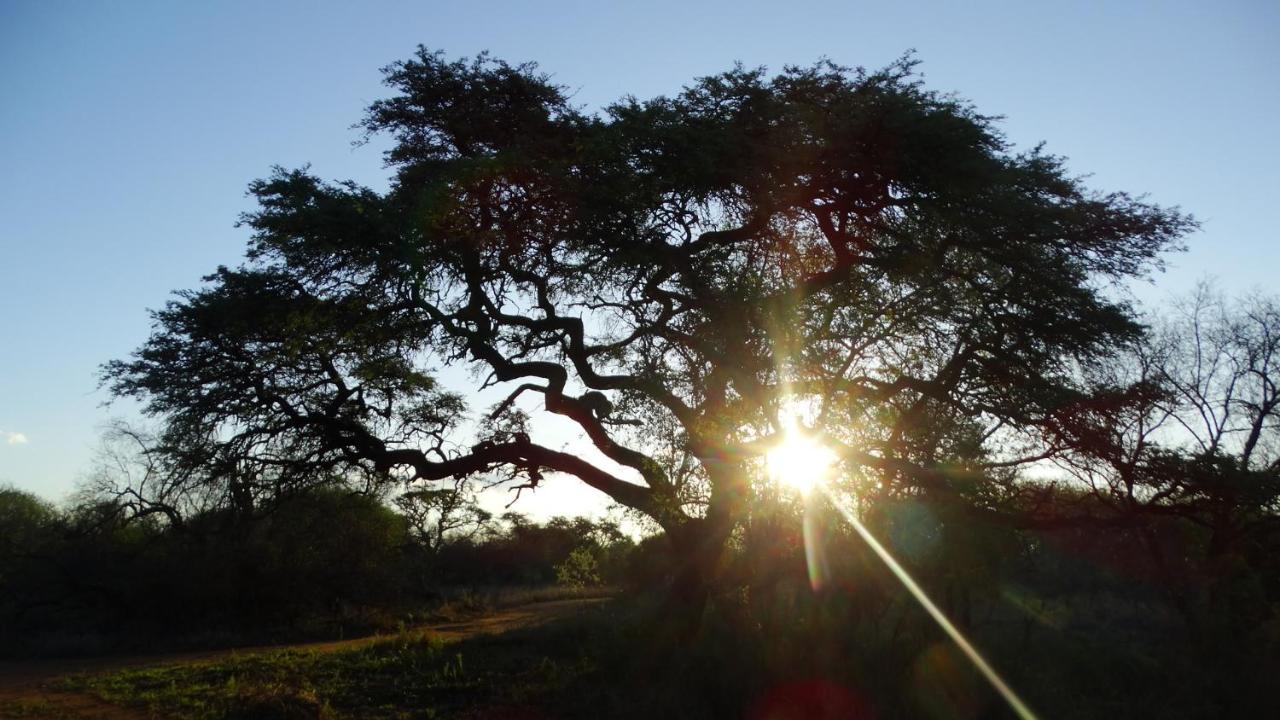 Madikwena Crocodile And Game Farm Villa Groot-Marico Exterior photo