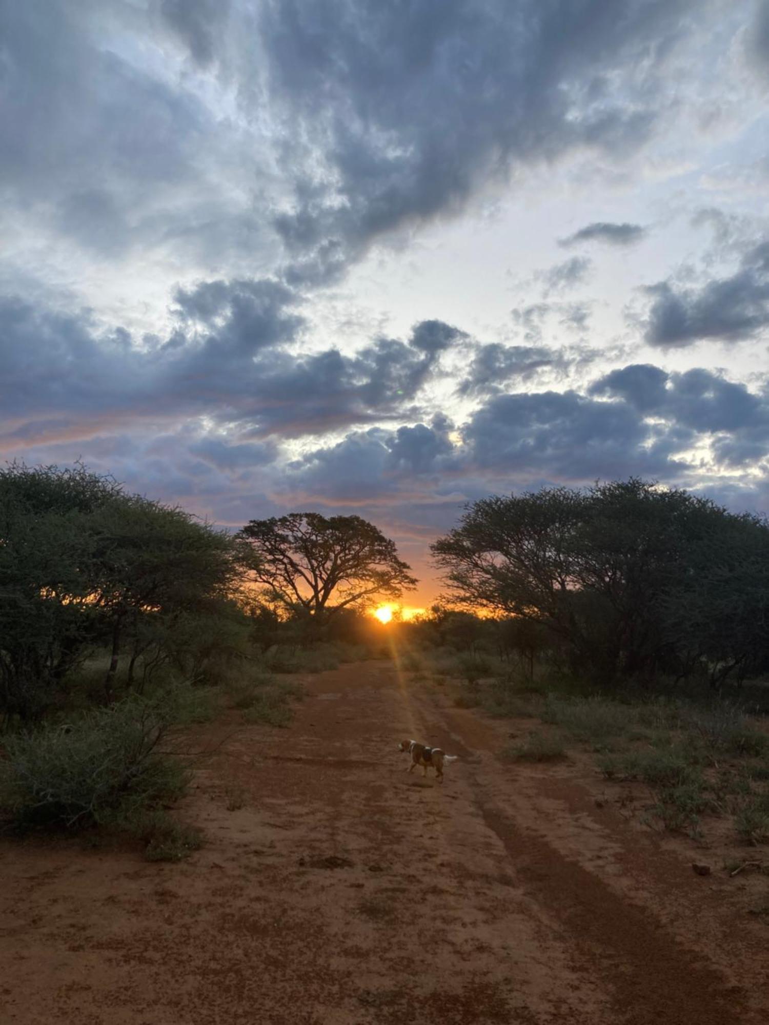 Madikwena Crocodile And Game Farm Villa Groot-Marico Exterior photo