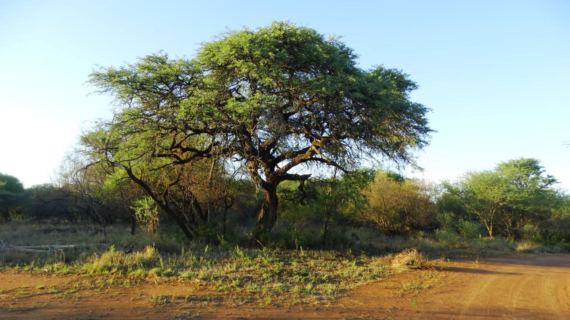 Madikwena Crocodile And Game Farm Villa Groot-Marico Exterior photo